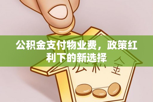凌云公积金支付物业费，政策红利下的新选择