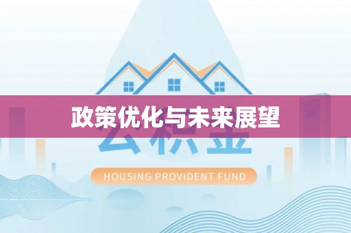 凌云政策优化与未来展望