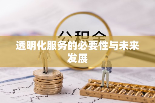 凌云透明化服务的必要性与未来发展