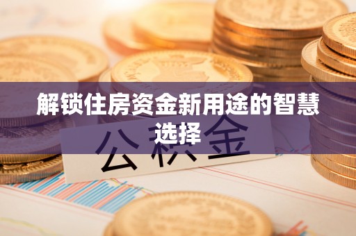 凌云解锁住房资金新用途的智慧选择