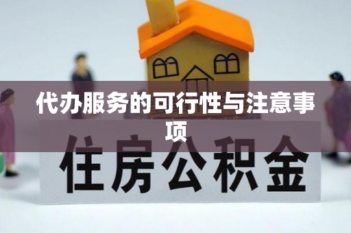 凌云代办服务的可行性与注意事项