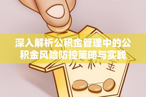 凌云深入解析公积金管理中的公积金风险防控策略与实践