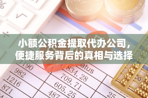 凌云小额公积金提取代办公司，便捷服务背后的真相与选择