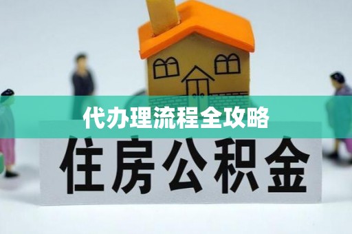 凌云代办理流程全攻略