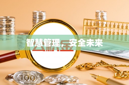 凌云智慧管理，安全未来