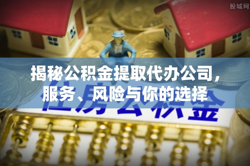 凌云揭秘公积金提取代办公司，服务、风险与你的选择