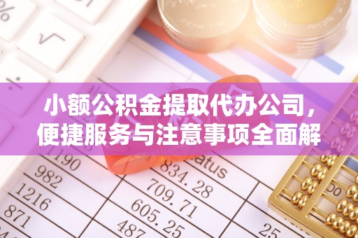凌云小额公积金提取代办公司，便捷服务与注意事项全面解析