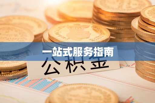 凌云一站式服务指南