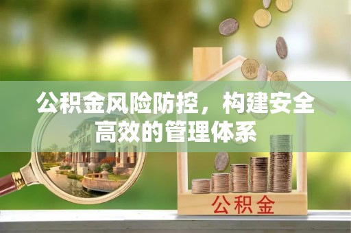 凌云公积金风险防控，构建安全高效的管理体系
