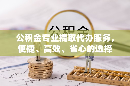 凌云公积金专业提取代办服务，便捷、高效、省心的选择