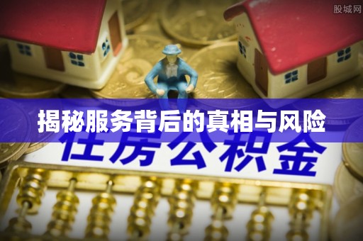 凌云揭秘服务背后的真相与风险