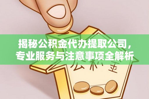 凌云揭秘公积金代办提取公司，专业服务与注意事项全解析
