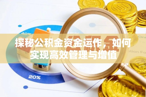 凌云探秘公积金资金运作，如何实现高效管理与增值