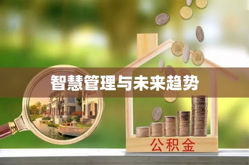 凌云智慧管理与未来趋势