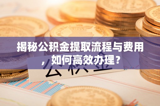凌云揭秘公积金提取流程与费用，如何高效办理？