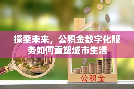 凌云探索未来，公积金数字化服务如何重塑城市生活