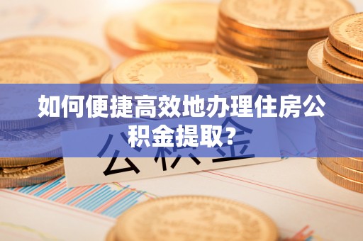 凌云如何便捷高效地办理住房公积金提取？