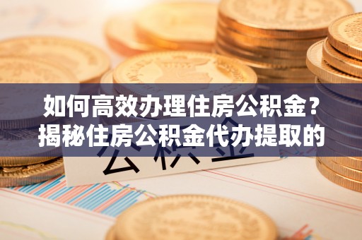 凌云如何高效办理住房公积金？揭秘住房公积金代办提取的全流程与优势