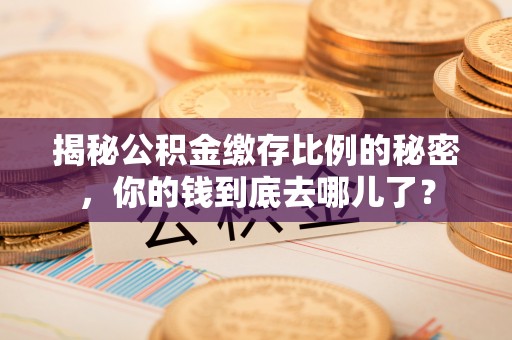 凌云揭秘公积金缴存比例的秘密，你的钱到底去哪儿了？