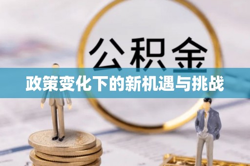 凌云政策变化下的新机遇与挑战