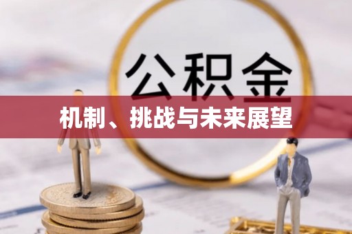 凌云机制、挑战与未来展望