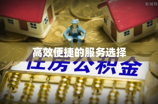 凌云高效便捷的服务选择