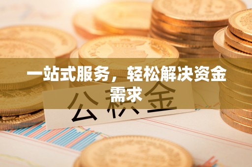 凌云一站式服务，轻松解决资金需求