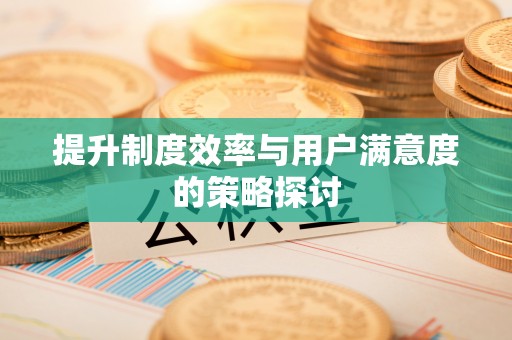 凌云提升制度效率与用户满意度的策略探讨