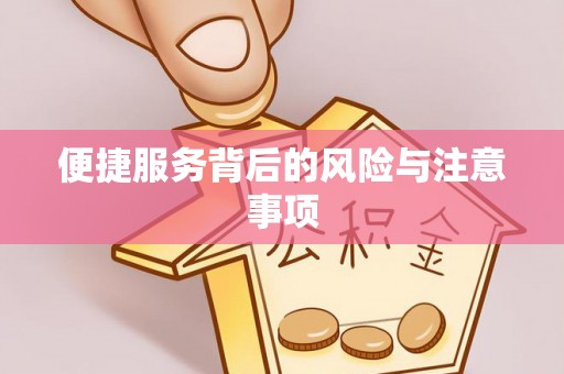 凌云便捷服务背后的风险与注意事项