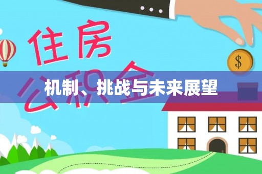 凌云机制、挑战与未来展望